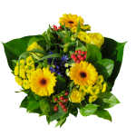 flowers-2767937_640