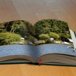 a-book-g6e3dc1e12_640